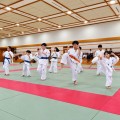 2026年 秋季昇級審査会