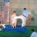 北上みちのく芸能まつり　演武会