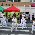 北上市お祭りでの演武会