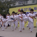 狛江市民祭りにて狛江道場の皆さんが演武を行いました