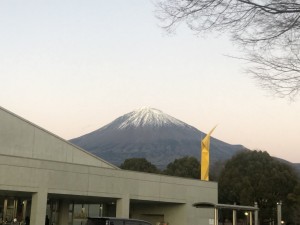 IMG_4487