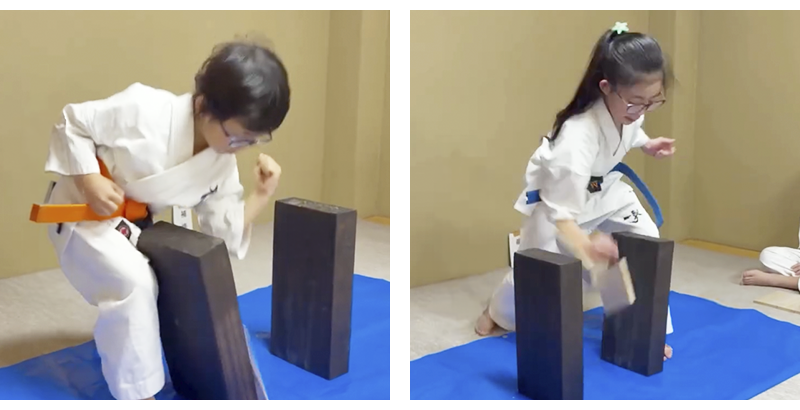 0122すずかけ01