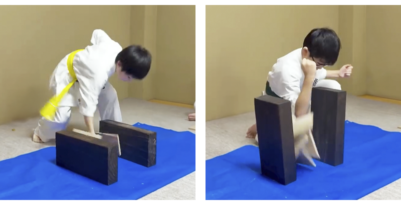 0122すずかけ02