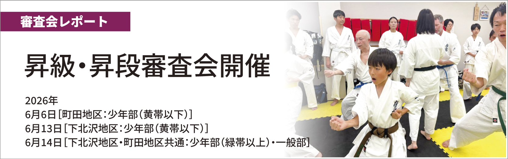 最新情報バナー