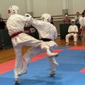 I.K.O.セミコンタクトルール第８回全中四国地区交流大会  ２０２５香川県空手道選手権大会