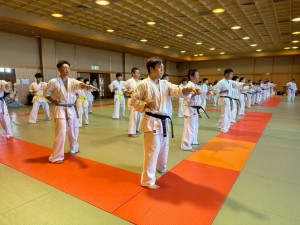 IMG_8817