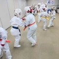 燕分道場　吉田中学校
