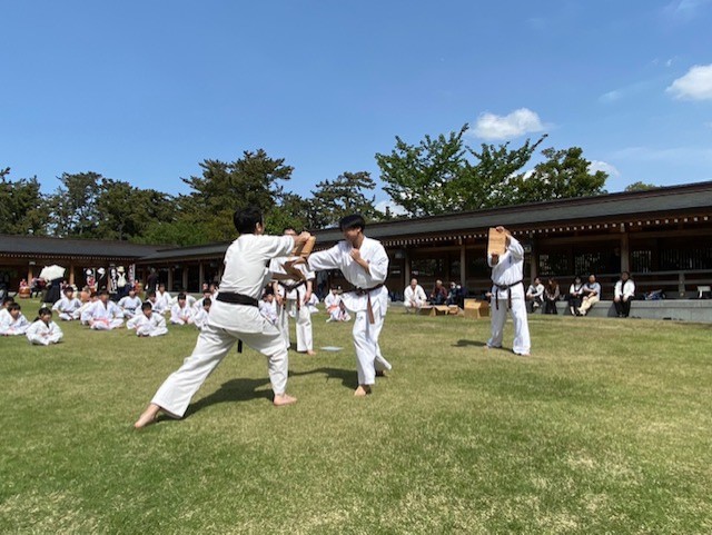 thumbnail_IMG_5159