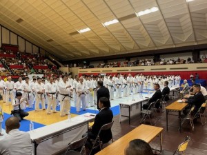 thumbnail_IMG_6693