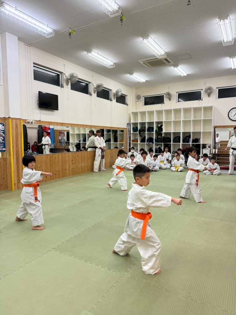 3DB6D8CD-EBD6-477D-993A-5160D653D45A