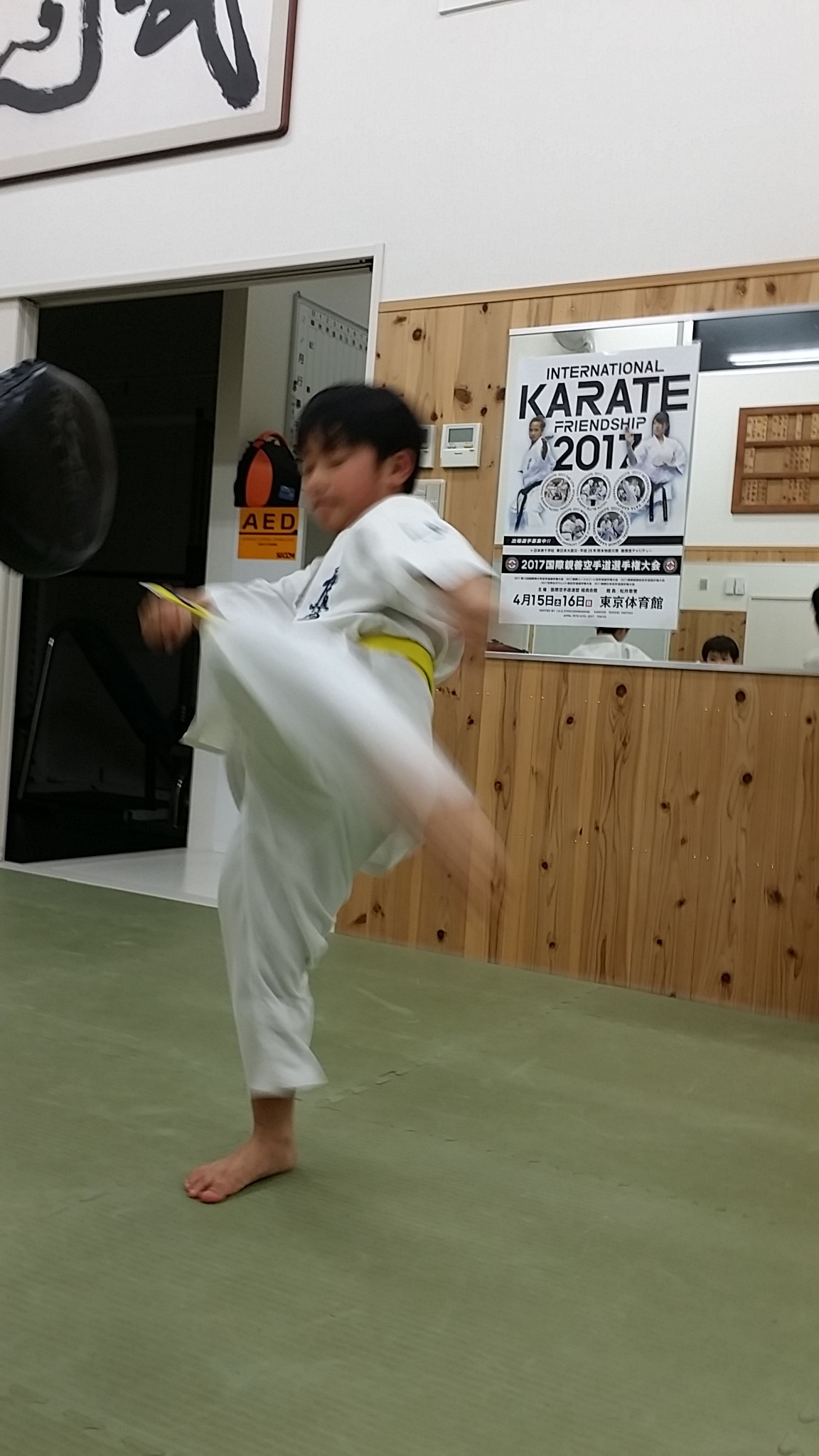 大城飛馬